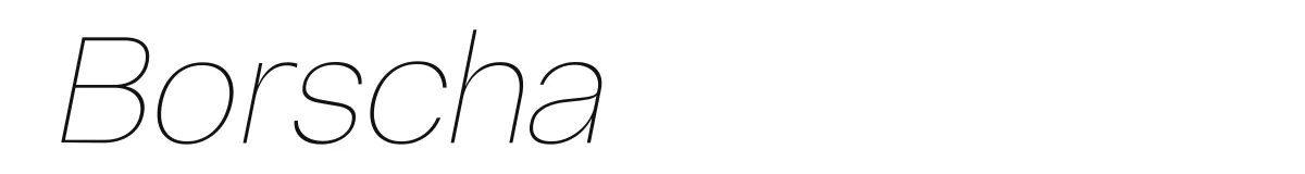 Borscha Thinitalic preview