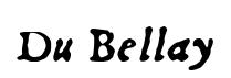 Du Bellay Dubellit preview