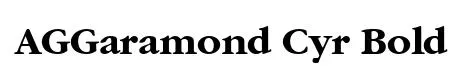 AGGaramond Cyr Bold