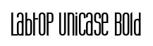 Labtop Unicase Bold