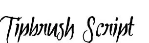 Tipbrush Script