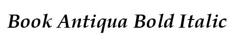 Book Antiqua Bold Italic