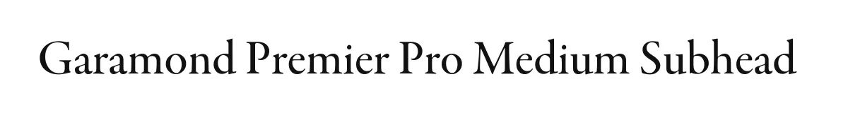 Garamond Premier Pro Medium Subhead original font preview