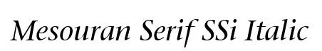 Mesouran Serif SSi Italic