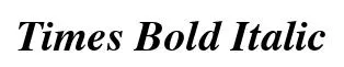 Times Bold Italic