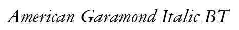 American Garamond Italic BT