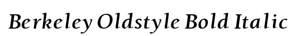 Berkeley Oldstyle Bold Italic