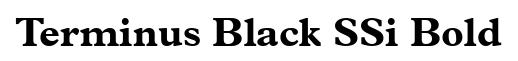 Terminus Black SSi Bold