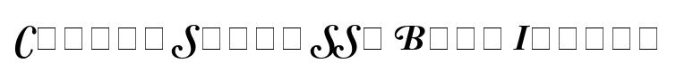 Caslon Swash SSi Bold Italic