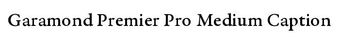 Garamond Premier Pro Medium Caption font preview