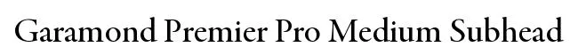 Garamond Premier Pro Medium Subhead