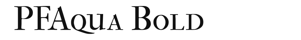 PFAqua Bold font preview
