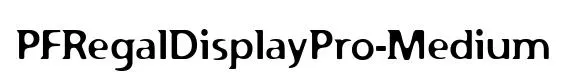 PFRegalDisplayPro-Medium