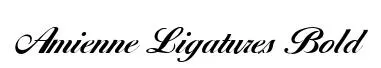 Amienne Ligatures Bold