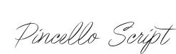 Pincello Script