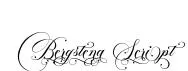Bergstena Script