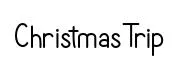 Christmas Trip