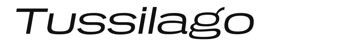 Tussilago font preview