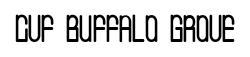 CVF Buffalo Grove original font preview