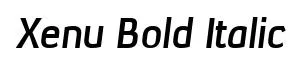 Xenu Bold Italic