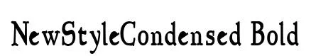 NewStyleCondensed Bold