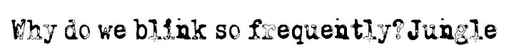 Why do we blink so frequently? Jungle