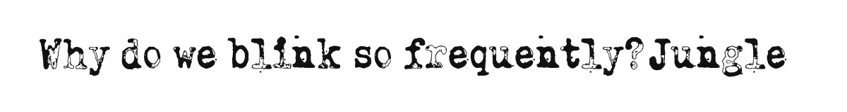 Why do we blink so frequently? Jungle original font preview