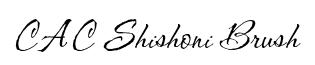 CAC Shishoni Brush