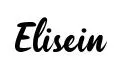 Elisein