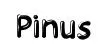 Pinus