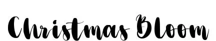Christmas Bloom