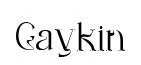 Gaykin font preview