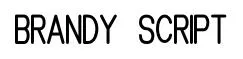 Brandy Script Brandy Mono Typeface preview
