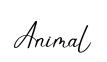 Animal original font preview