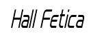 Hall Fetica Narrow Italic preview