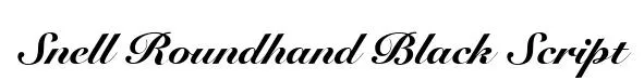 Snell Roundhand Black Script