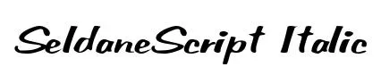 SeldaneScript Italic