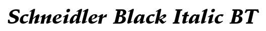 Schneidler Black Italic BT