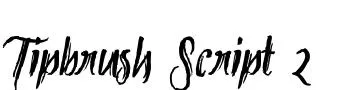 Tipbrush Script 2