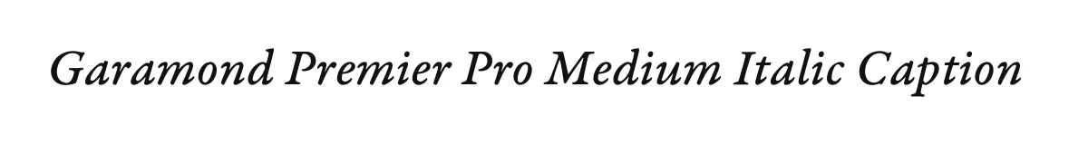 Garamond Premier Pro Medium Italic Caption original font preview