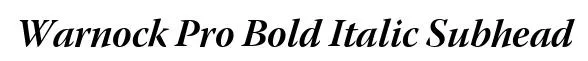 Warnock Pro Bold Italic Subhead