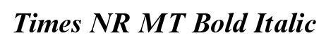 Times NR MT Bold Italic