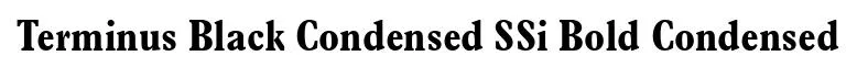 Terminus Black Condensed SSi Bold Condensed