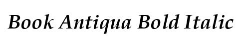 Book Antiqua Bold Italic