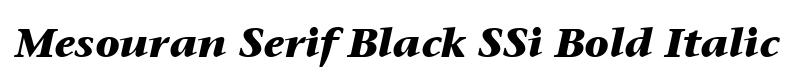 Mesouran Serif Black SSi Bold Italic