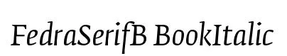 FedraSerifB BookItalic