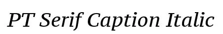 PT Serif Caption Italic