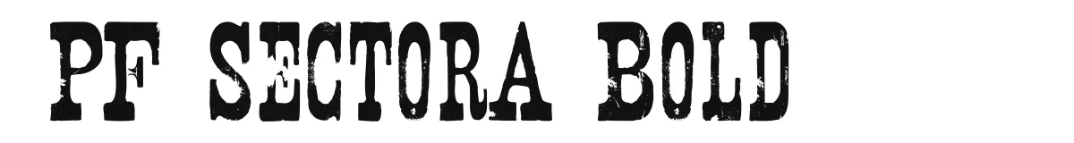 PF SectorA Bold font preview