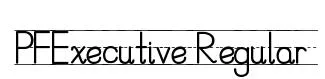 PFExecutive Regular