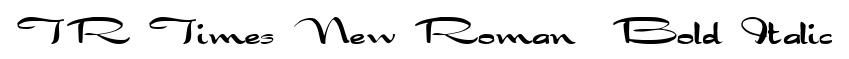 TR Times New Roman  Bold Italic